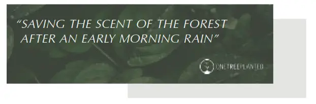 UMAGE Tripod Lamp Stand for Floor Lamp - fig 6