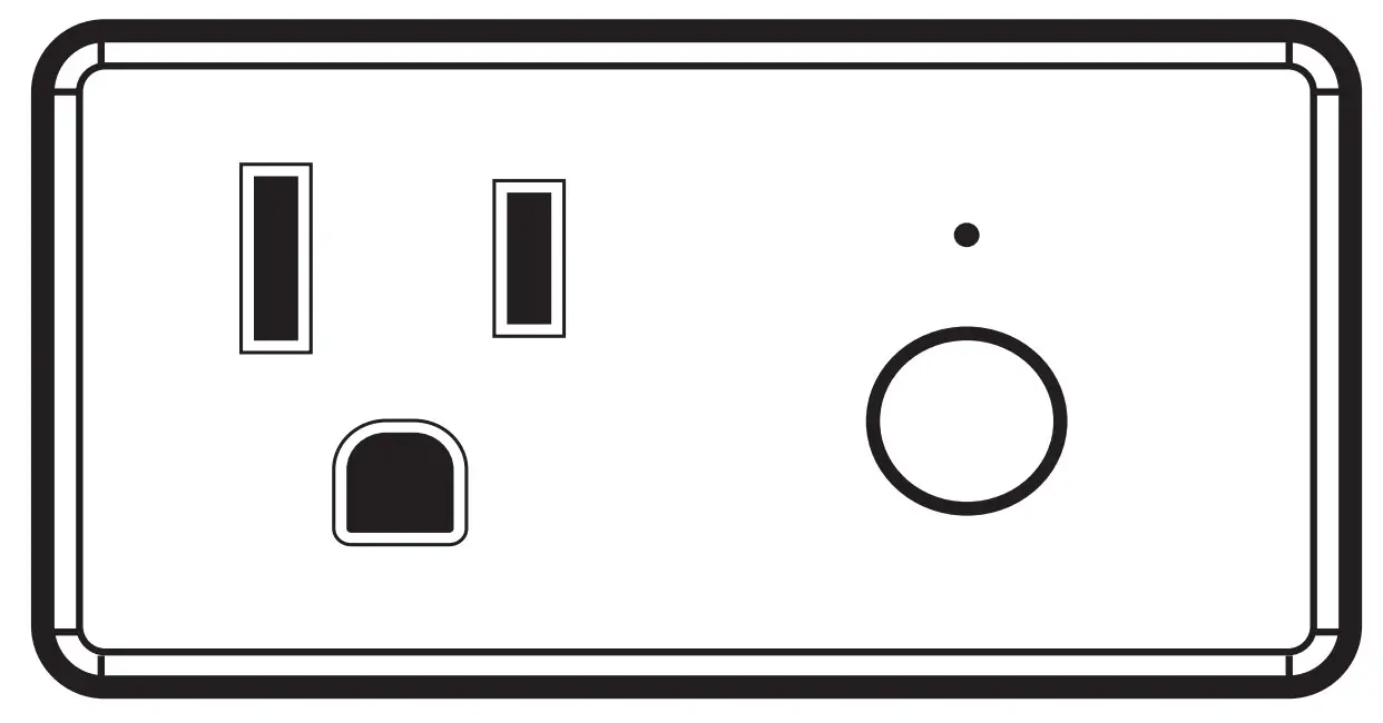 FEIT Electric PLUGNLWIFI Smart Wi-Fi Plug