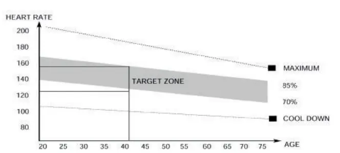 TUNTURI 17TRW0000 Rowing Machine-exercise phase