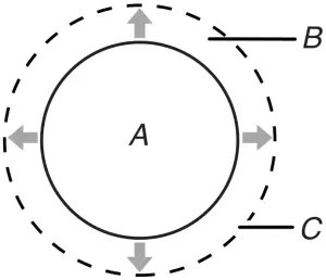 AMANA AER6603SFS - COOKTOP USE 2