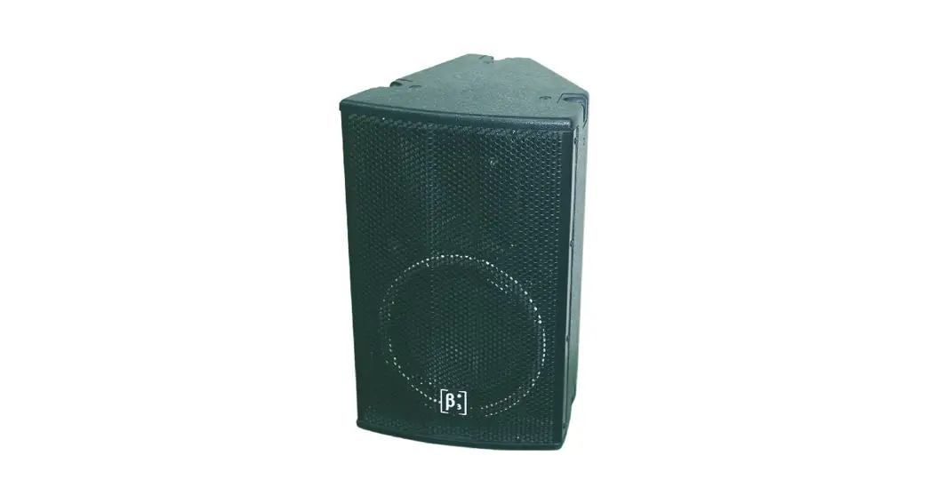 Tla Cs250 Toasting Paint Speaker User Manual
