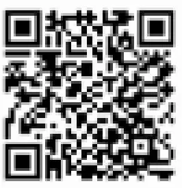 LEDWOOD LD-i9W Wireless Earphones - qr code