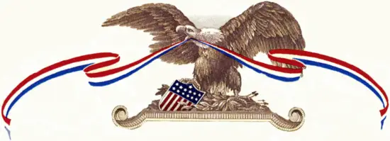 intertek Raw Honey A layer of white foam Honey - FIG 19