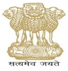 intertek Raw Honey A layer of white foam Honey - FIG 35