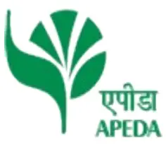 intertek Raw Honey A layer of white foam Honey - FIG 38