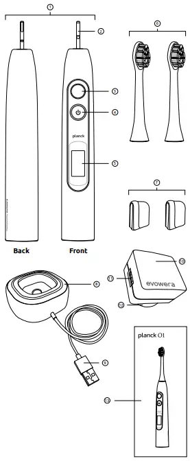 evowera Planck 01 Adaptive Sonic Electric Toothbrush-fig2