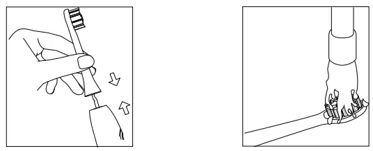 evowera Planck 01 Adaptive Sonic Electric Toothbrush-fig5