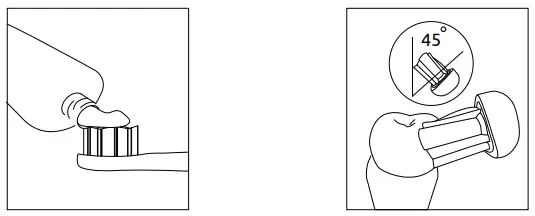 evowera Planck 01 Adaptive Sonic Electric Toothbrush-fig6