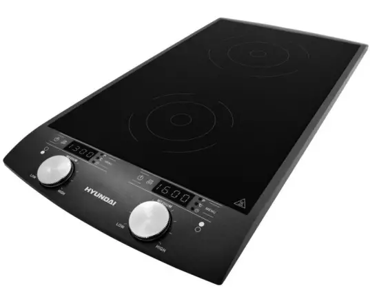 HYUNDAI IND 233 Double Induction Hot Plate-fig1