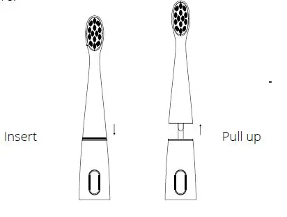 niceboy-SmartSonic-Toothbrush-04