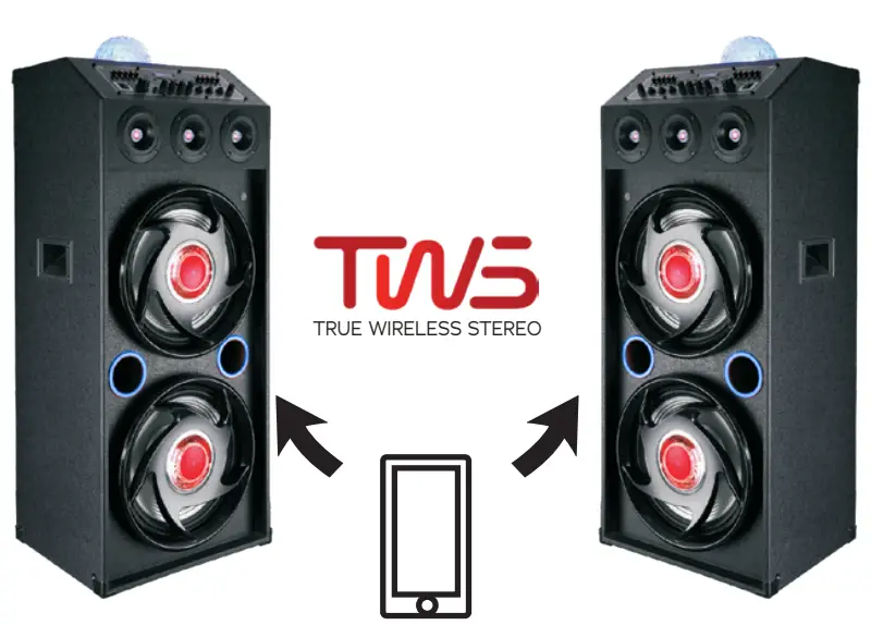 TRUE WIRLESS STEREO