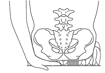 permobil ROHO High-Profile Smart Check Cushion-7