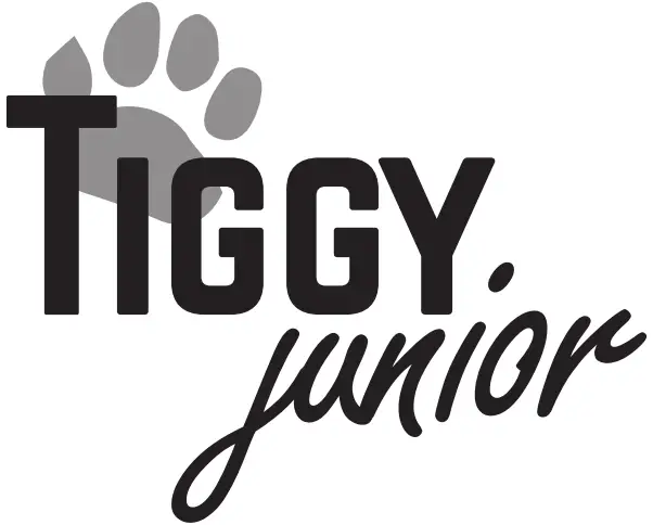 EXIT TOYS Junior Trampoline with Safety Net logo 1