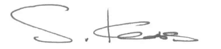 ORIGIN EFFECTS RevivalDRIVE Hot Rod - SIGNATURWE