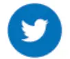 Twitter Icon