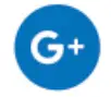 Google+ Icon