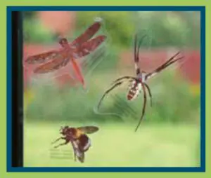 DISCOVERY CHANNEL DA02 Bug Barn Kit - stickers