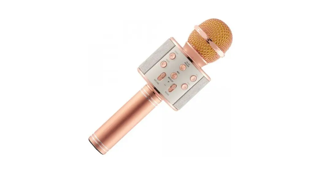 Hype Hy-skm Karaoke Wireless Mic + Built In Speaker User Manual