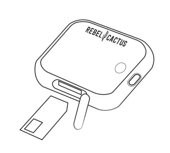 REBEL CACTUS PLAY001A Play Bold Smartwatch - Step 3