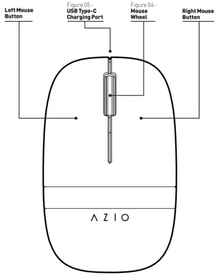 MOUSE DIAGRAM