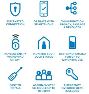 Fig 3 Welcome to Freestyle