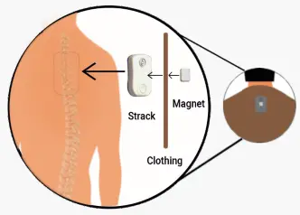DIPITR STMP D114 MAGNETIC Clasps Posture Corrector and Trainer - Using Magnet