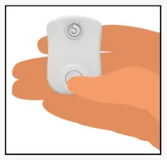 DIPITR STMP D114 MAGNETIC Clasps Posture Corrector and Trainer - button