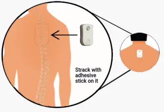 DIPITR STMP D114 MAGNETIC Clasps Posture Corrector and Trainer - sticker