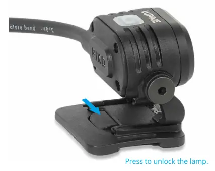 Insert the lamp head