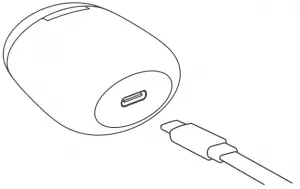 Charging for the case