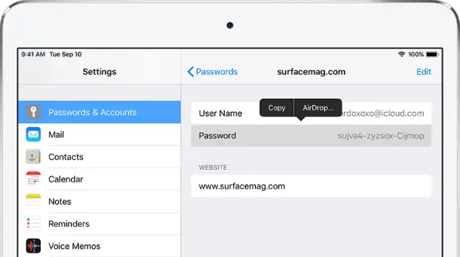 The Passwords screen for a website. The password section is selected, and a menu containing the items Copy and AirDrop appears above it.