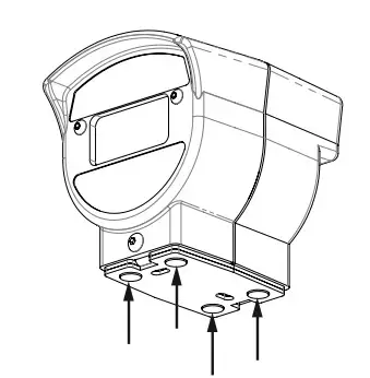 VirtualFly Flight Simulation Composs