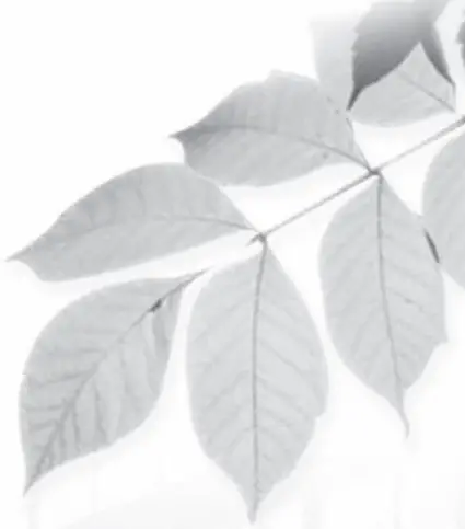 MITSUBISHI ELECTRIC MSZ-HR25VF 1