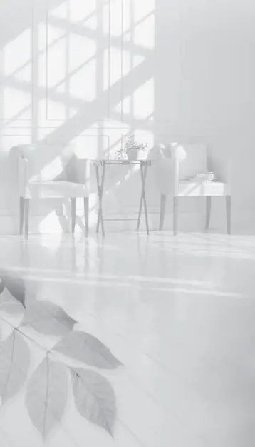 MITSUBISHI ELECTRIC MSZ-HR25VF 2