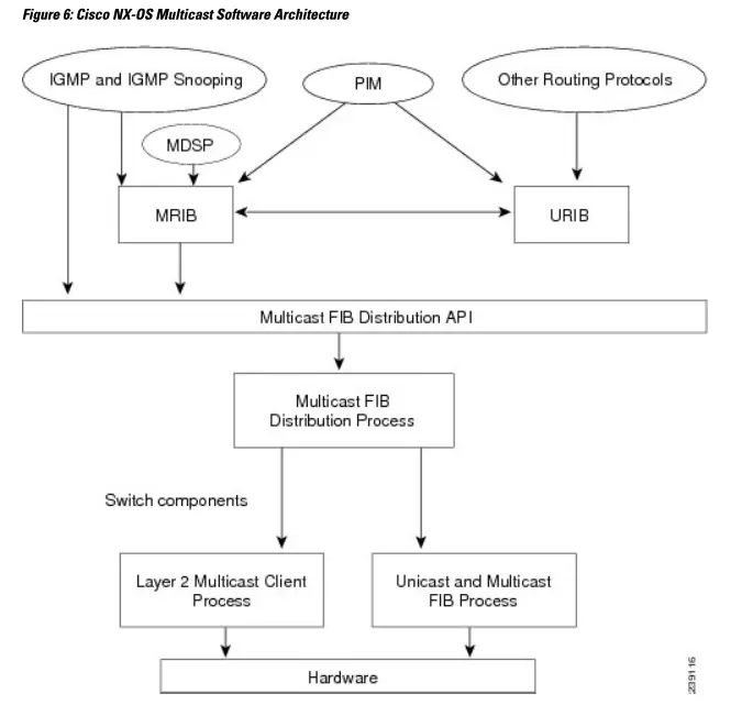 CISCO Nexus 3000 Series NX OS Multicast Routing - fig5