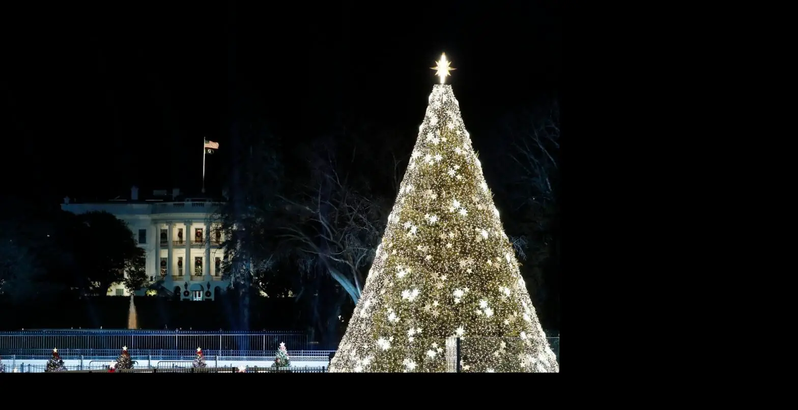 Ge Appliances 82093lo Led Low Voltage Light User Guide Ge Appliances 82093lo Led Low Voltage Light User Guide