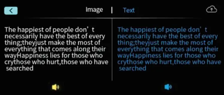 VORMOR X7 - Photo Translation 2