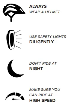 GOLDEN-CYCLES-Sprks-Print-500W-Electric-Bike-FIG-2