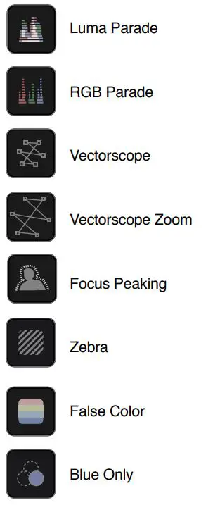 ATOMOS Shogun Studio 2 User Guide - Monitor assist