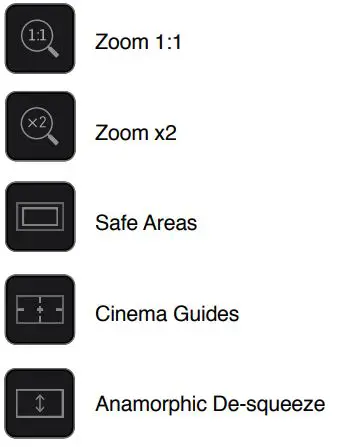 ATOMOS Shogun Studio 2 User Guide - Monitor assist
