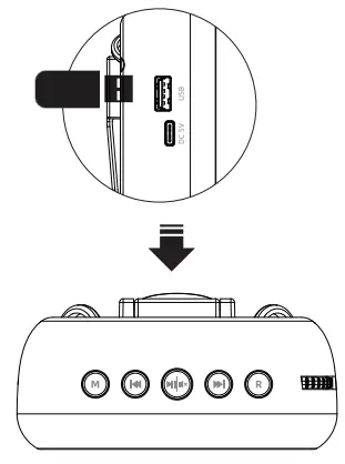 WinBridge S208 Voice Amplifier-Disk