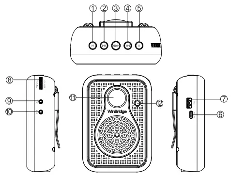 WinBridge S208 Voice Amplifier-Function