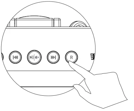 WinBridge S208 Voice Amplifier-fig1