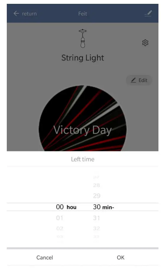 Haining Zhongyuan Plastic ZYLED WR01 A LED String Light - fig20