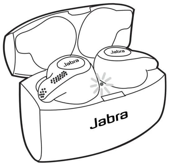 Earbuds Battery Status