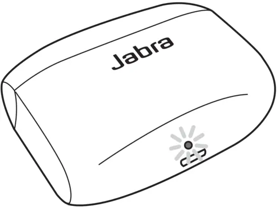 Earbuds Charging Case Status