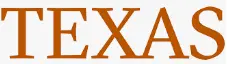 TEXAS LOGO