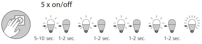 Paul Neuhaus 8422 13 Q VITO Pendant Light LED - Reset