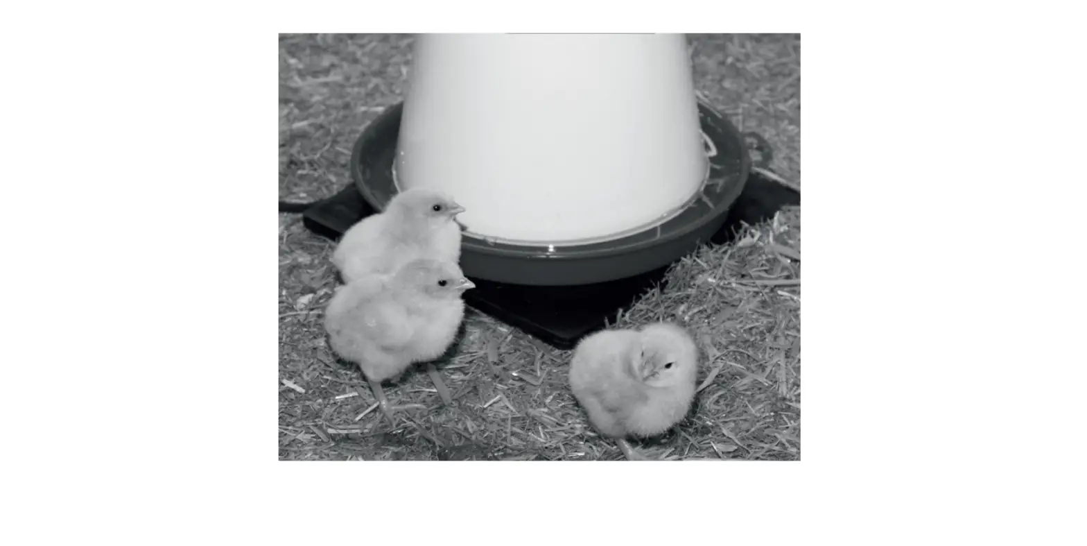 Kerbl 70239 Rubber Heating Plate Instruction Manual