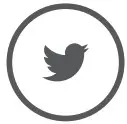 Twitter Icon